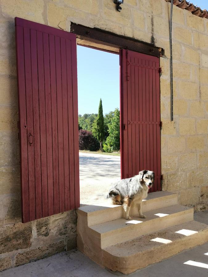 Gite De Charme Au Coeur De L'Entre-Deux-Mers Haux  Экстерьер фото